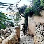 فيلة Puerto Blanco كاليبي